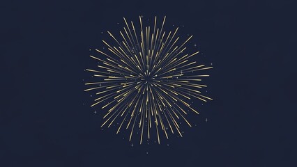 Fireworks explosion against dark night sky