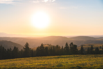 Setting Sun Above Forest And Meadows