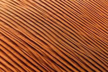 Fototapeta premium Waves of Sand Desert Dune Patterns