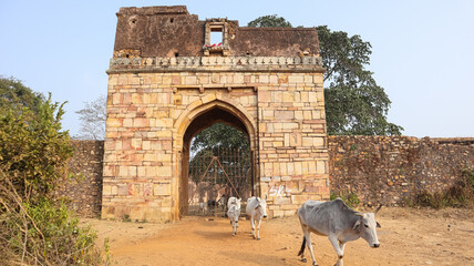 India, Bihar, Sasaram, View of Main Entrance of Premises of Rohtasgarh Fort, the 12th Century Ancient Monument.