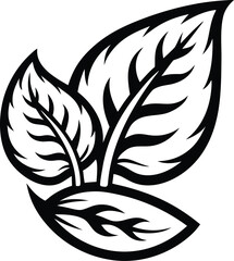 eco food branding icon Black silhouette vector illustration on transparent background