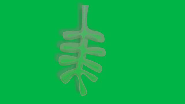 Faint zombie hands rising with green glow on green screen chromakey background. Perfect for 2d animated cartoon animation in horror, undead, or Halloween graveyard effects.