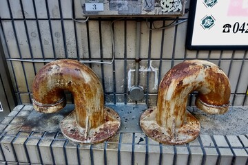 grilled chicken wings