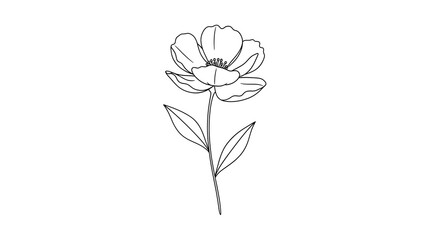 Clean flower outline drawing for coloring and decorative design use