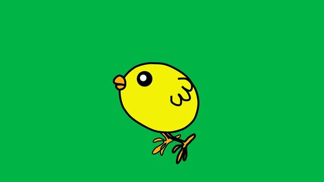 Adorable yellow baby chick standing curiously in 2d animated cartoon animation on green screen chromakey background, ideal for easter, farm, or cute animal kids content.