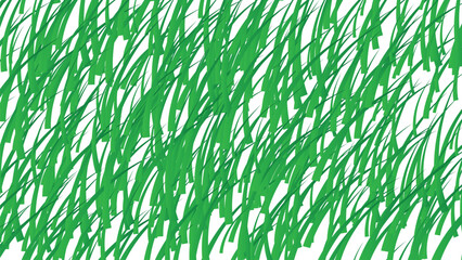 green grass background