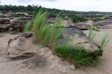 A scenic mountain landscape features an old stone wall and an ancient tree standing among rugged rocks under a clear sky along a natural path through the green forest