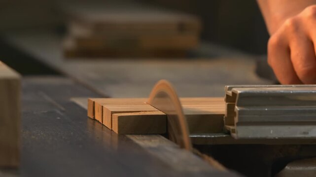 Skillful Carpenter Precisely Measuring And Guiding Final Trim With Diligent Attention To Detail. Media