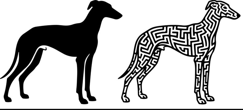 Two-Style Azawakh Bold Black Line Silhouette Vector Illustration