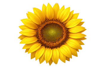 Obraz premium Bright Yellow Sunflower with Transparent Background for Your Designs!