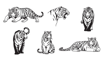 Dynamic black and white tiger illustrations showcasing powerful and majestic poses
