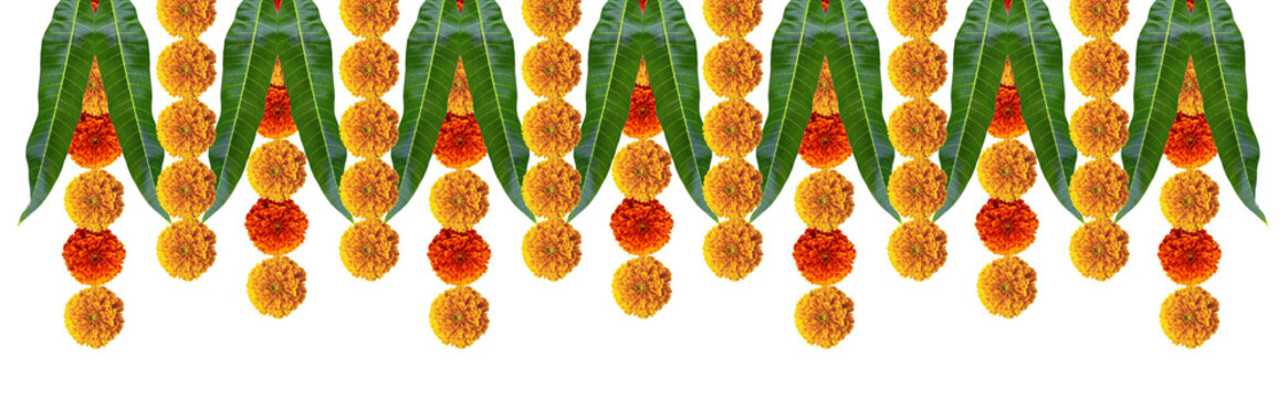 Marigold hanging flowers with green mango leafs festive design element top border