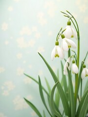 スノードロップ, 白い花, 花, フラワー, 背景, 春, 冬, 新しい, 自然, ホワイト, 白, 野の花, 野花, 花畑, 花々, 可憐な, 綺麗な, 1月, 庭, 花束, 植える, 咲く, 植物, 美しさ, フローラル, カラフル, 花びら, 花の背景, 壁紙, 花の壁紙, 花柄, つぼみ, 葉, 季節,