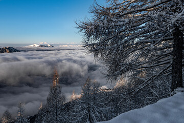 Over the clouds with Monte Rosa on the horizon