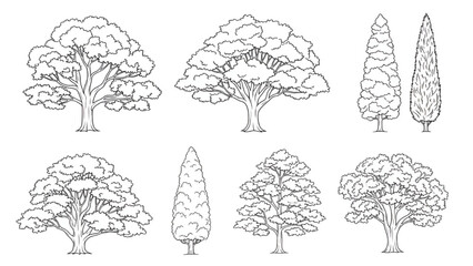 set of trees in lines in minimalist CAD. Set of sections of wetland forest outlines for landscape design drawing. Vector illustration in separate elements.