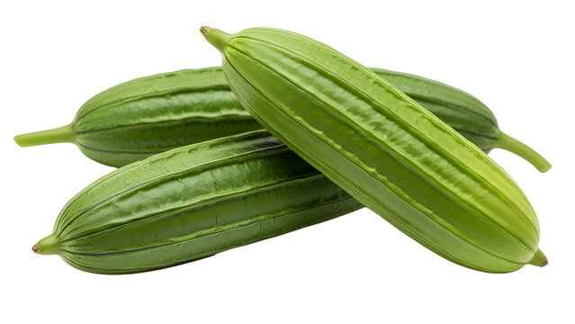 Fresh green Luffa or Ridge Gourd vegetables isolated on white for healthy food design