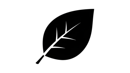 Black Leaf Icon Vector isolated PNG with Transparent Background