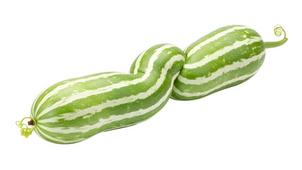 Two Fresh Green Pointed Gourds with White Stripes Product Shot isolated PNG with Transparent Background
