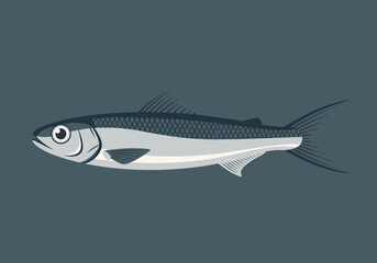 Obraz premium A single silver fish with dark fins swims to the left.