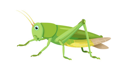 a-cute-grasshopper--in-digital-painting (1)