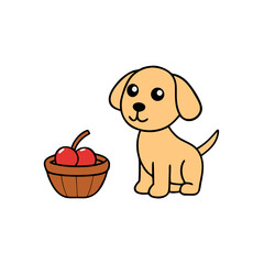 dog in basket