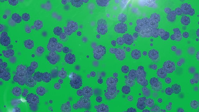 Coronavirus graphic on alpha channel