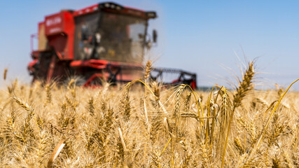 combine harvester working on a field