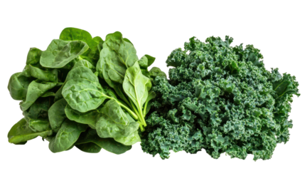 Spinach and kale two leafy green piles side by side healthy lifestyle on transparent background