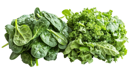 Spinach and kale two leafy green piles side by side healthy lifestyle on transparent background