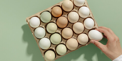 Top view natural colorful easter Eggs with shadows in carton package, minimal trend neutral earth...
