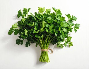 Fresh parsley tied with twine on white background
