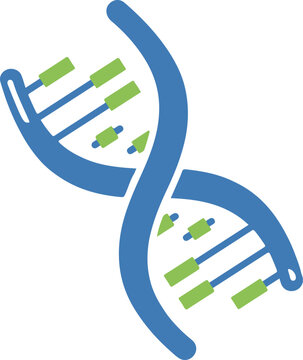 A stylized vector illustration of a DNA double helix. The blue sugar-phosphate backbones spiral around green base pair rungs, representing genetics, biology, and scientific research.