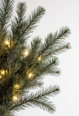 Obraz premium Close-up of christmas tree branches with warm white lights