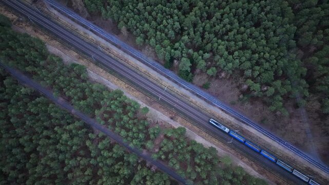 A freight train moving through the forest, transporting goods and symbolizing trade, markets, commodity flow chains, trade exchange between countries. 