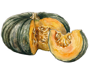 illustration watercolor painting of pumpkin isolated background.