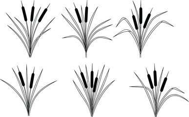 Reed grass cattail plant silhouettes set featuring wetland marsh vegetation elements isolated on white background for nature design © Yeasrin
