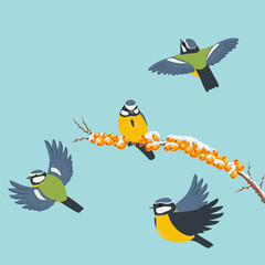 vector drawing birds, blue tit at sea buckthorn branch with berries and snow in winter, hand drawn wildlife illustration