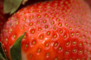 red strawberry isolated on white background