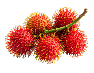 Group of red spiky fruits on a green stem, isolated on black
