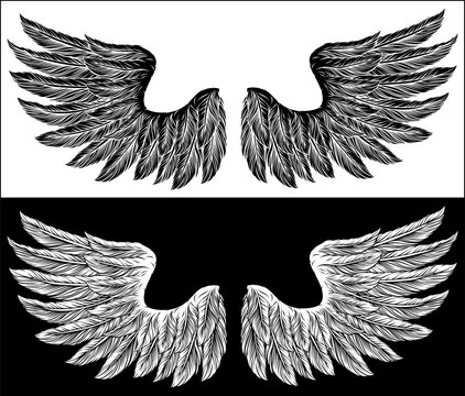 Eagle, angel or similar wings in a tattoo illustration vintage woodcut etching style