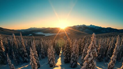 Snowy pine forest landscape under golden sunset light with bright sunburst. Serene winter nature scene with mountains. Ideal for seasonal backgrounds travel concepts wallpapers. - Powered by Adobe