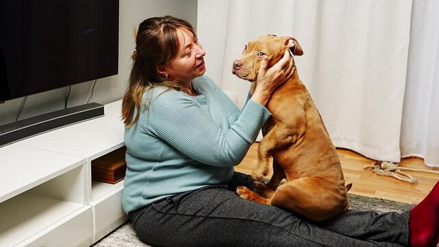 Woman enjoying communication with her cute American Staffordshire Terrier puppy as the dog joyfully licking its owner. Happiness, fun, affection, strong bonding between human and pet. 