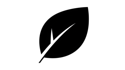 Simple minimalist black leaf icon symbol vector isolated on white background for nature design