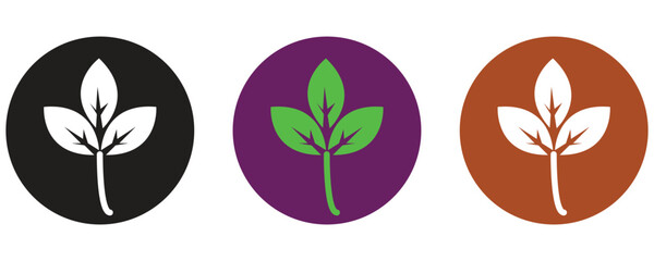 Basil icon vector set, natural aroma spice leaf icon vector set in trendy flat style illustration isolated on white background.