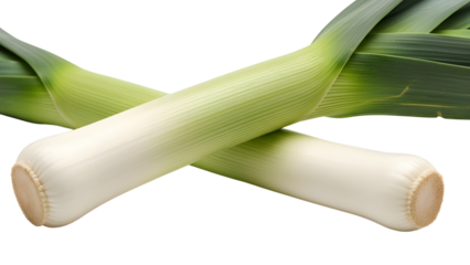 Two fresh leeks crossed, a healthy vegetable ingredient isolated on white background.