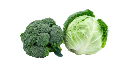 Broccoli and cabbage, fresh greens on solid black background