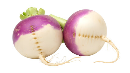 Two fresh raw turnips with purple and white skin isolated on white background