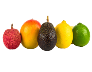 Five vibrant fresh fruits in a row against a black background