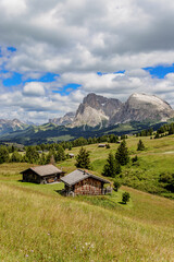 View over the alpine meadows with mountain cabins towards the Langkofel group with the peaks of Langkofel and Plattkofel on the Seiser Alm, Dolomites, South Tyrol, Italy.