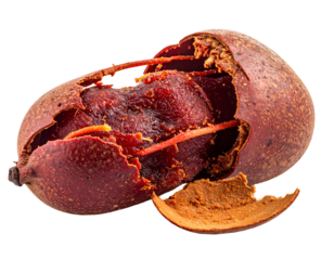 Macro shot of a partially opened, brown fruit revealing dark red pulp